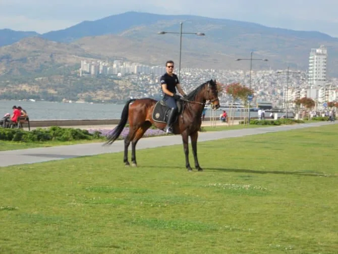 SÜVARİ KAHVENİN GERÇEK ÖYKÜSÜ 2 süvari atlı polis