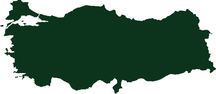 Gönen3