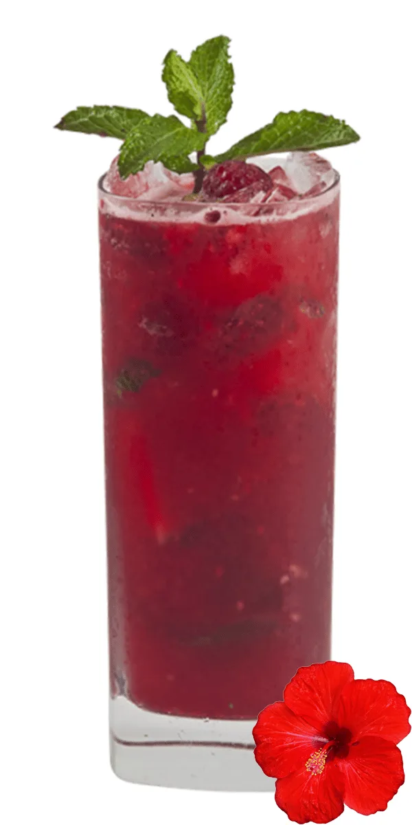 SAKIN DOLABINIZDAN EKSİK ETMEYİN! HİBİSKÜS 4 ice hibisküs